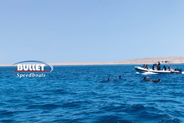 Best Snorkeling Spots in Hurghada 